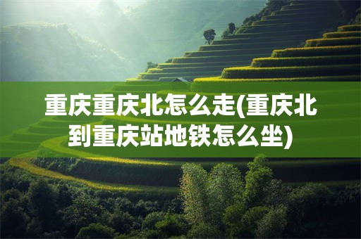 重庆重庆北怎么走(重庆北到重庆站地铁怎么坐)