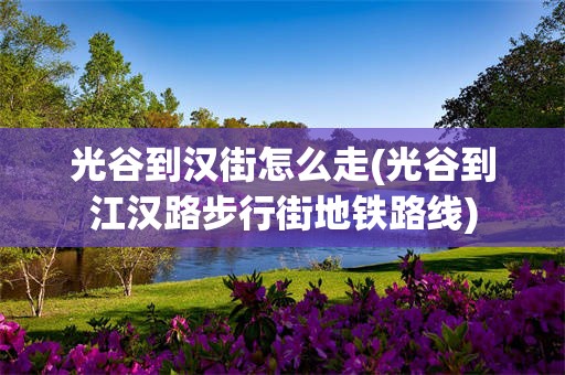 光谷到汉街怎么走(光谷到江汉路步行街地铁路线)