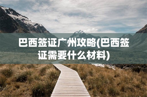 巴西签证广州攻略(巴西签证需要什么材料)