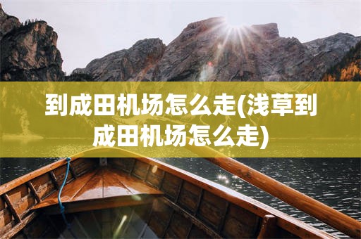 到成田机场怎么走(浅草到成田机场怎么走)
