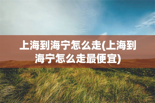 上海到海宁怎么走(上海到海宁怎么走最便宜)