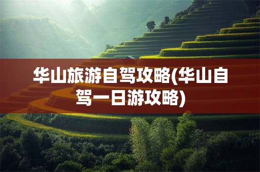 华山旅游自驾攻略(华山自驾一日游攻略)