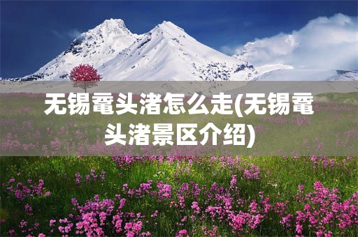 无锡鼋头渚怎么走(无锡鼋头渚景区介绍)