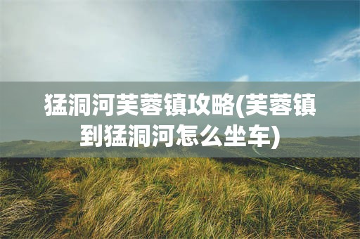 猛洞河芙蓉镇攻略(芙蓉镇到猛洞河怎么坐车)