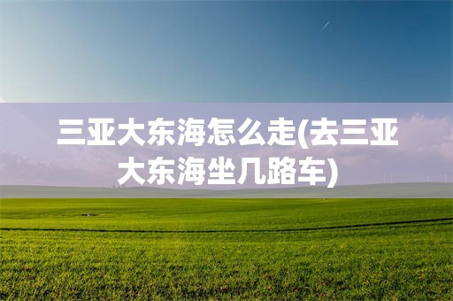 三亚大东海怎么走(去三亚大东海坐几路车)