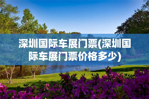 深圳国际车展门票(深圳国际车展门票价格多少)