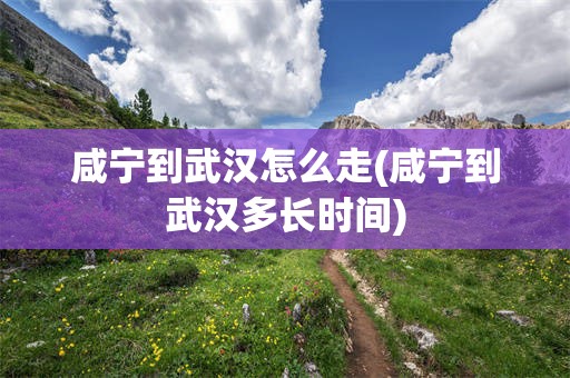 咸宁到武汉怎么走(咸宁到武汉多长时间)
