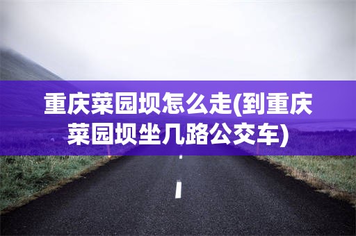 重庆菜园坝怎么走(到重庆菜园坝坐几路公交车)