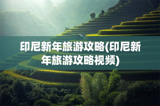 印尼新年旅游攻略(印尼新年旅游攻略视频)