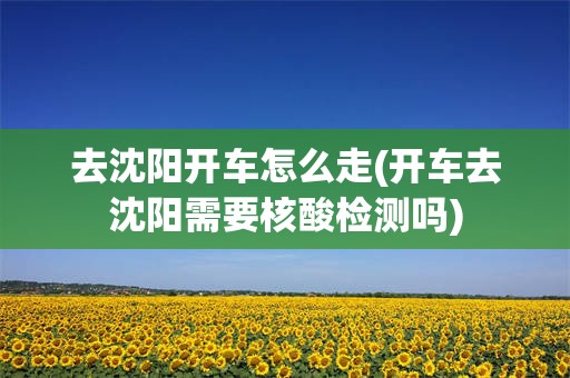 去沈阳开车怎么走(开车去沈阳需要核酸检测吗)