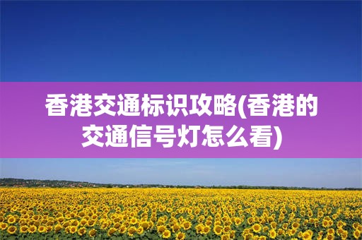 香港交通标识攻略(香港的交通信号灯怎么看)