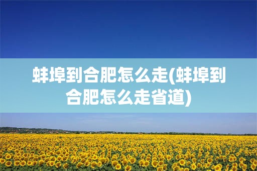 蚌埠到合肥怎么走(蚌埠到合肥怎么走省道)