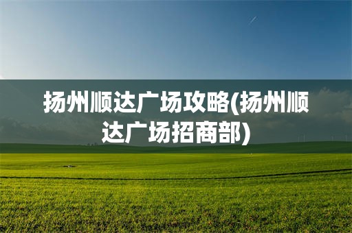 扬州顺达广场攻略(扬州顺达广场招商部)