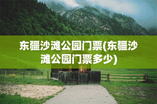 东疆沙滩公园门票(东疆沙滩公园门票多少)