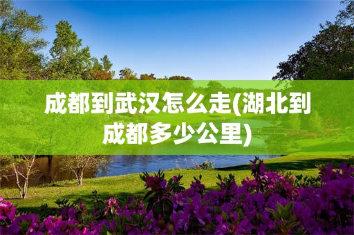 成都到武汉怎么走(湖北到成都多少公里)