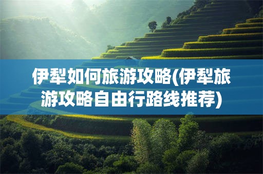 伊犁如何旅游攻略(伊犁旅游攻略自由行路线推荐)