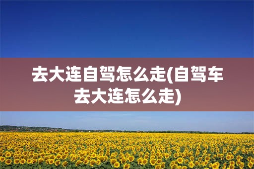 去大连自驾怎么走(自驾车去大连怎么走)