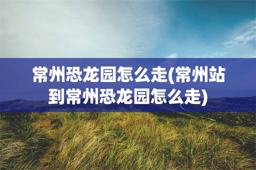 常州恐龙园怎么走(常州站到常州恐龙园怎么走)