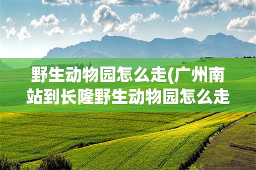 野生动物园怎么走(广州南站到长隆野生动物园怎么走)