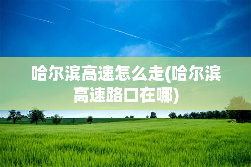 哈尔滨高速怎么走(哈尔滨高速路口在哪)
