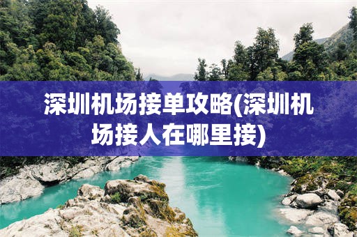 深圳机场接单攻略(深圳机场接人在哪里接)