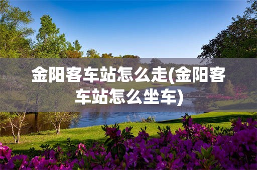 金阳客车站怎么走(金阳客车站怎么坐车)