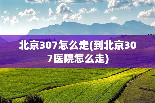 北京307怎么走(到北京307医院怎么走)