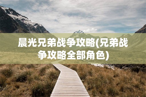 晨光兄弟战争攻略(兄弟战争攻略全部角色)