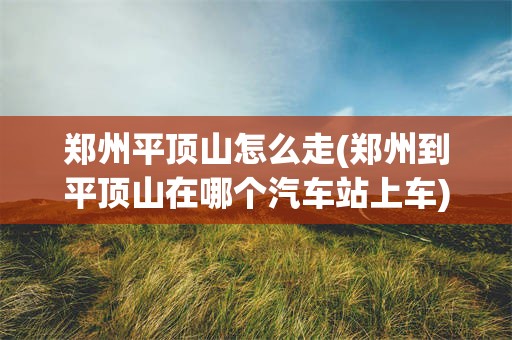 郑州平顶山怎么走(郑州到平顶山在哪个汽车站上车)