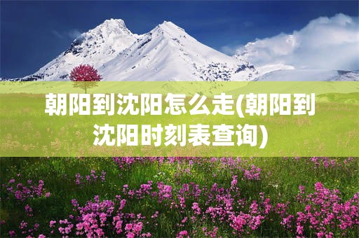 朝阳到沈阳怎么走(朝阳到沈阳时刻表查询)