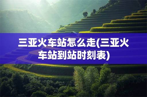 三亚火车站怎么走(三亚火车站到站时刻表)