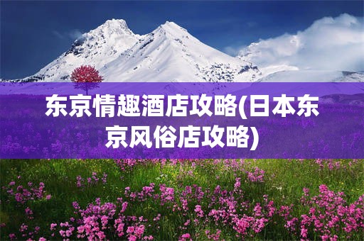 东京情趣酒店攻略(日本东京风俗店攻略)