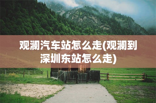 观澜汽车站怎么走(观澜到深圳东站怎么走)