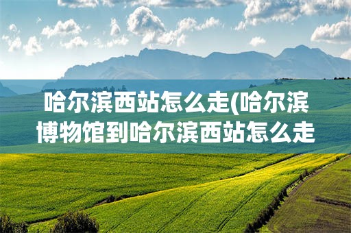 哈尔滨西站怎么走(哈尔滨博物馆到哈尔滨西站怎么走)