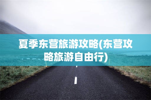 夏季东营旅游攻略(东营攻略旅游自由行)