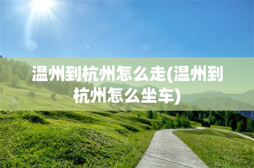 温州到杭州怎么走(温州到杭州怎么坐车)