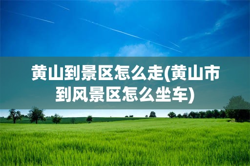 黄山到景区怎么走(黄山市到风景区怎么坐车)