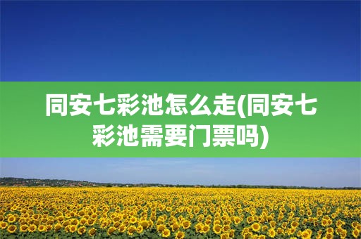 同安七彩池怎么走(同安七彩池需要门票吗)