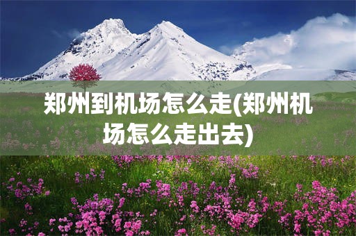 郑州到机场怎么走(郑州机场怎么走出去)