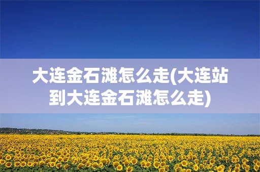 大连金石滩怎么走(大连站到大连金石滩怎么走)