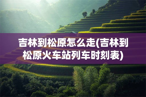 吉林到松原怎么走(吉林到松原火车站列车时刻表)