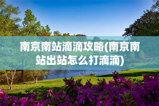 南京南站滴滴攻略(南京南站出站怎么打滴滴)