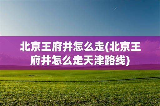北京王府井怎么走(北京王府井怎么走天津路线)