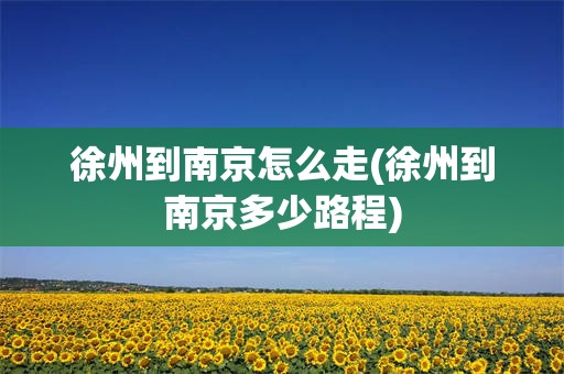 徐州到南京怎么走(徐州到南京多少路程)