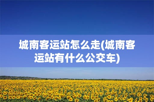 城南客运站怎么走(城南客运站有什么公交车)