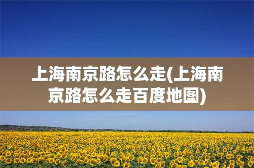 上海南京路怎么走(上海南京路怎么走百度地图)