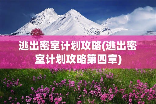 逃出密室计划攻略(逃出密室计划攻略第四章)