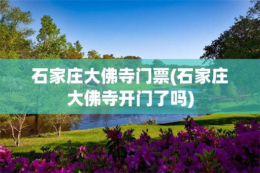 石家庄大佛寺门票(石家庄大佛寺开门了吗)