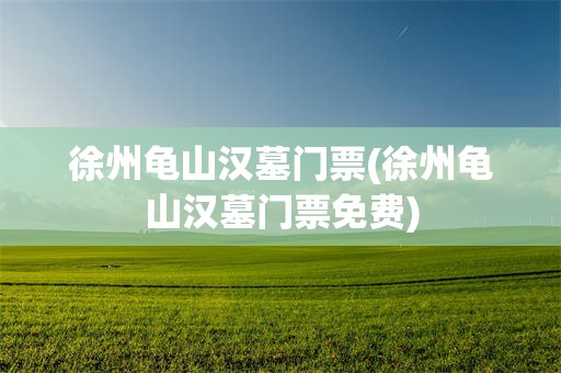 徐州龟山汉墓门票(徐州龟山汉墓门票免费)
