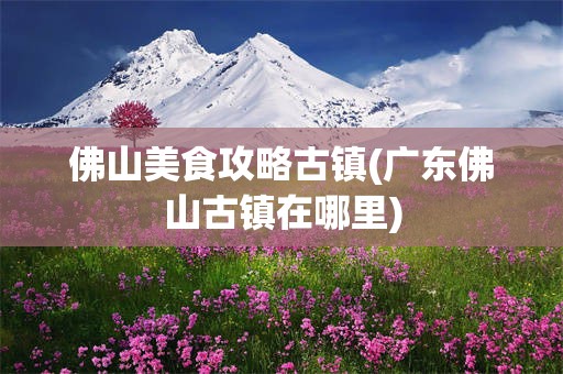 佛山美食攻略古镇(广东佛山古镇在哪里)